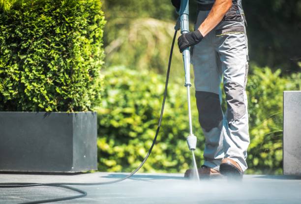 Best Dumpster Area Cleaning  in Magnolia Springs, AL